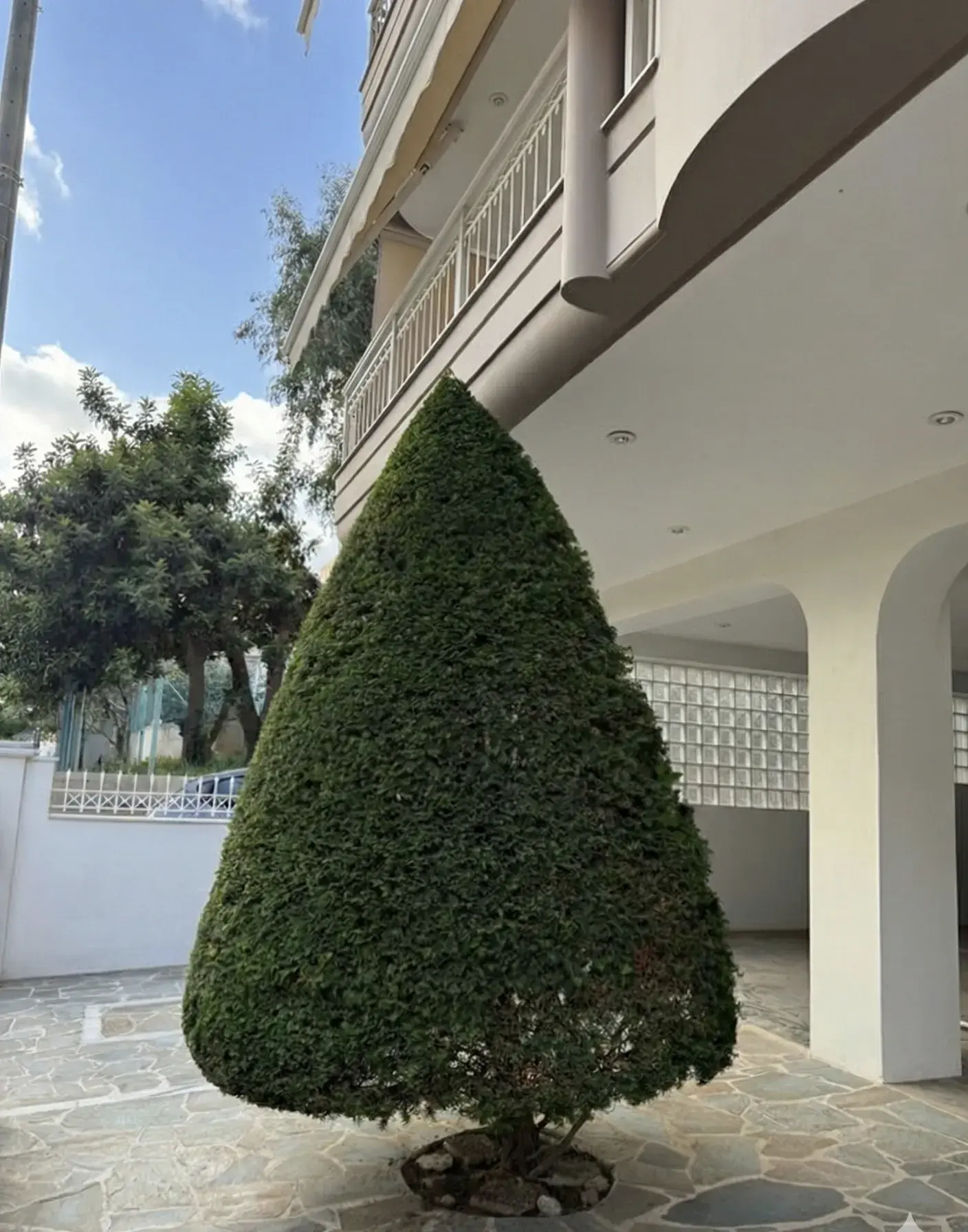 Γεωμετρικό Δέντρο–Ζωντανό Γλυπτό